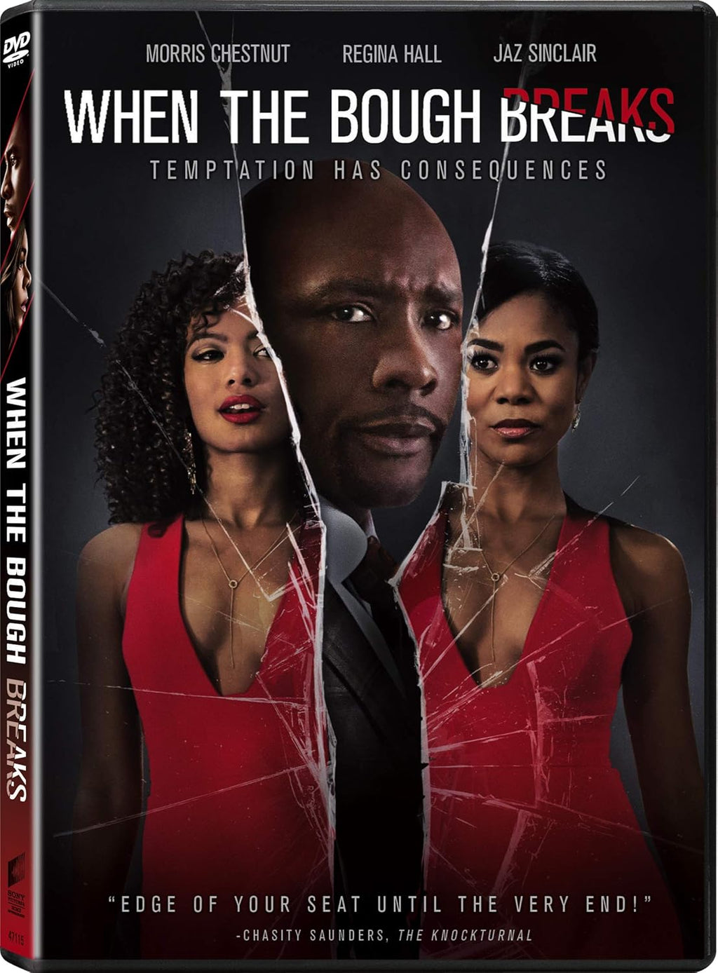 WHEN THE BOUGH  BREAKS    DVD