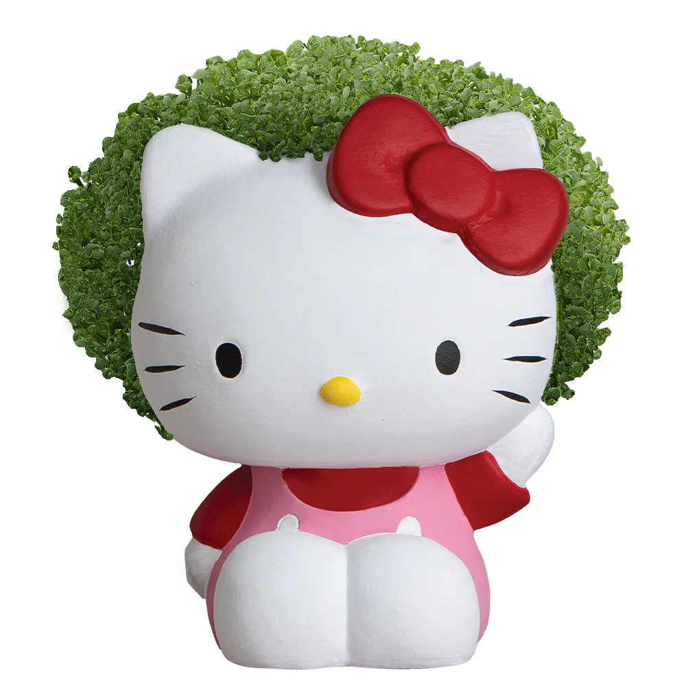CHIA-PET  HELLO KITTY   HANDMADE DECORATIVE PLANTER